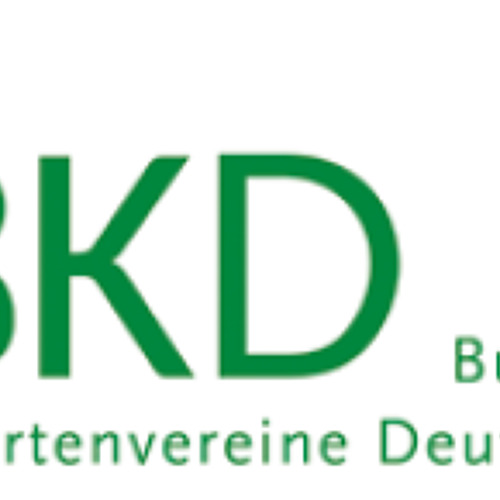 BKD informiert 07/2026