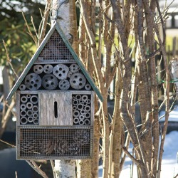 Bohren und S&auml;gen f&uuml;r Wespen und Bienen!