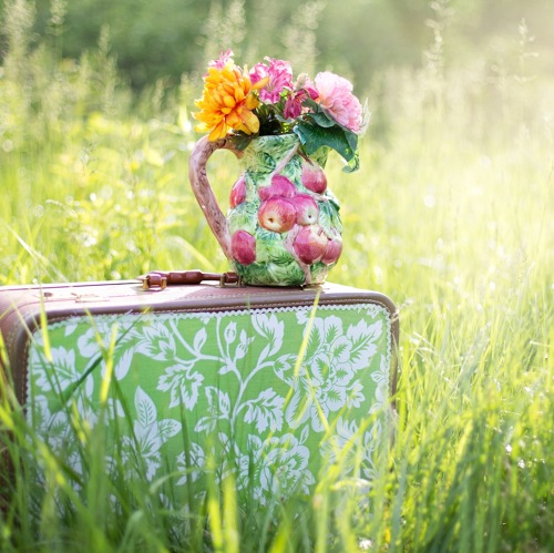 Der Garten im August...